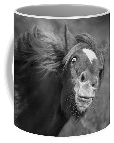Stallion Coffee Mug featuring the photograph A Galloping Glance. by Paul Martin