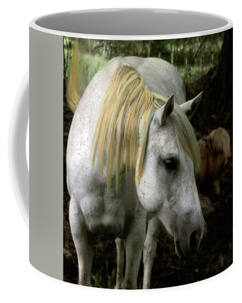 Old Horse Coffee Mug featuring the photograph A Gentle Old Soul by Wayne King