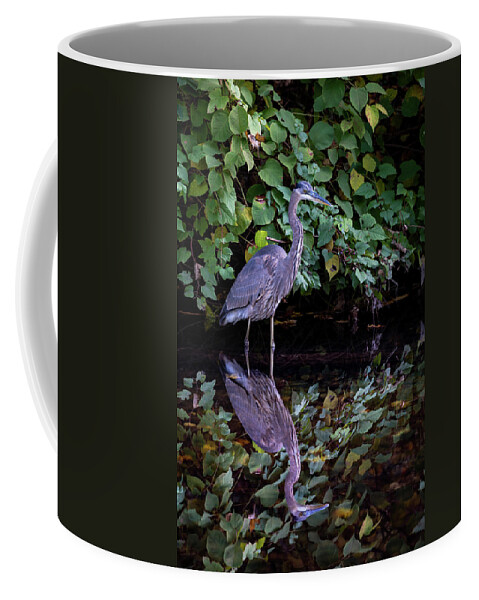 Bronx River Coffee Mug featuring the photograph A Great Blue Heron and Its reflection in the Bronx River by Kevin Suttlehan