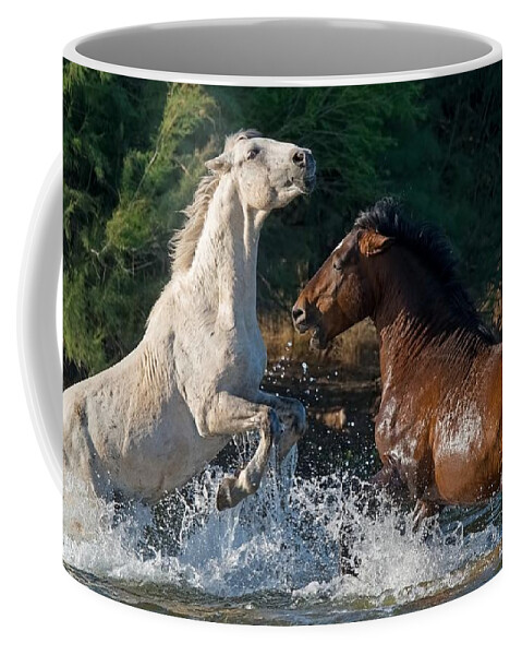 Stallion Coffee Mug featuring the photograph A Grey's Battles. by Paul Martin