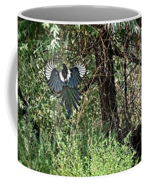 Awe Coffee Mug featuring the photograph A Leap Of Faith by David Desautel