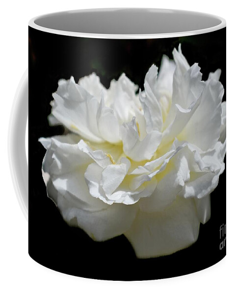 Rose Coffee Mug featuring the photograph A Life Of One English Rose 2 by Leonida Arte
