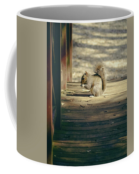Squirrel Coffee Mug featuring the photograph A Little Squirrel on a Bridge by Rachel Morrison