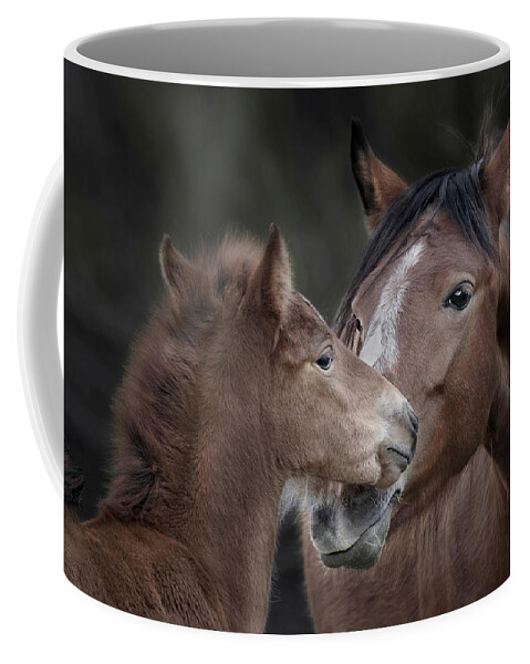 Stallion Coffee Mug featuring the photograph A Mare's Watchful Eye. by Paul Martin