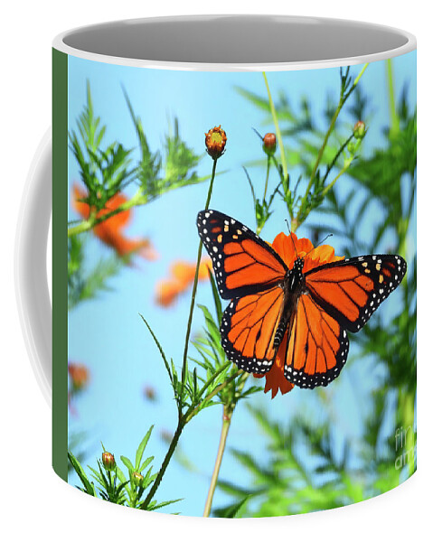 Monarch Coffee Mug featuring the photograph A Monarch Butterfly by Scott Cameron