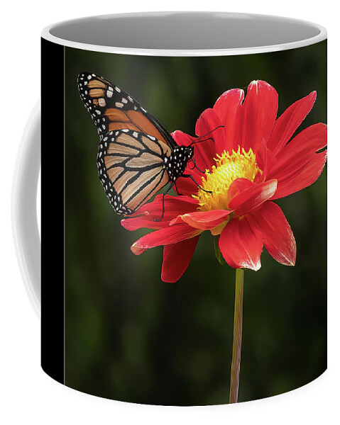 Monarch Coffee Mug featuring the photograph A Monarch in profile by Sylvia Goldkranz