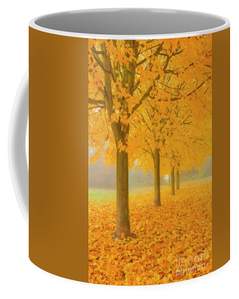 Sycamore Trees Coffee Mug featuring the photograph Misty Sycamore Tree Avenue in Autumn by Neale And Judith Clark