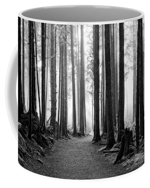 Landscape Coffee Mug featuring the photograph A Path Through The Old Growth by Allan Van Gasbeck