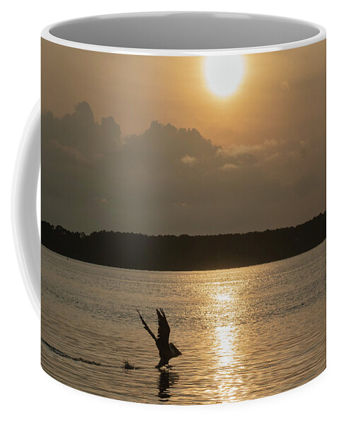 Pelican Coffee Mug featuring the photograph A Pelican Going Fishing at Sunset by Dennis Schmidt