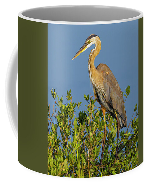 R5-2653 Coffee Mug featuring the photograph A Proud Heron by Gordon Elwell