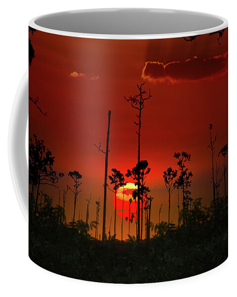 Sunset Coffee Mug featuring the photograph A Quiet Place by Mark Andrew Thomas
