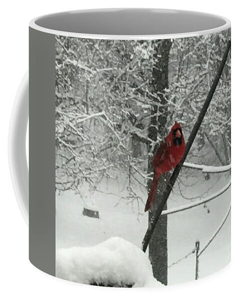 Cardinal Coffee Mug featuring the photograph A Natural Selectively Colored Image by Calvin Boyer