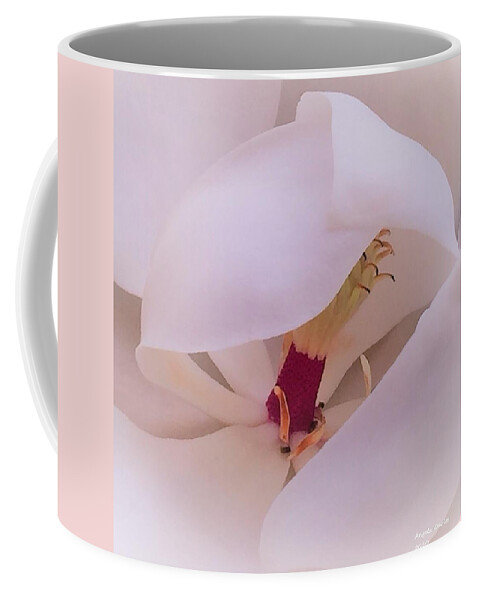 Magnolia Grandiflora Coffee Mug featuring the photograph A Shy Magnolia by Angela Davies