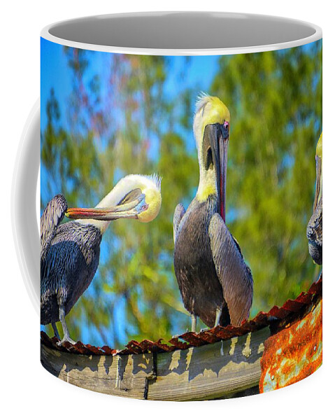 Pelicans Coffee Mug featuring the photograph A Social by Alison Belsan Horton