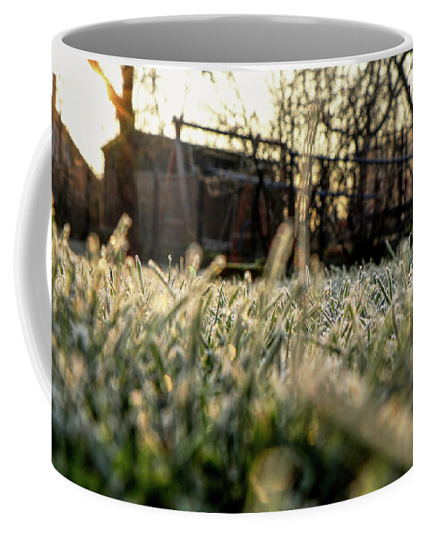 Environment Coffee Mug featuring the photograph A stem of grass with sunrise. A wonderful story of beauty by Vaclav Sonnek