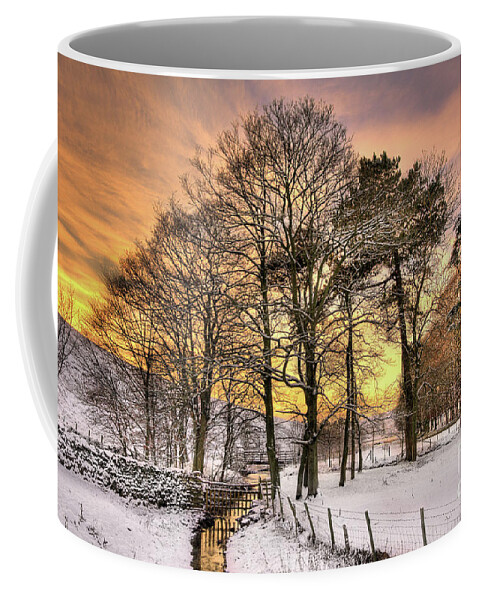 Landscape Coffee Mug featuring the photograph A Stream Through The Snow, near Airton by Tom Holmes