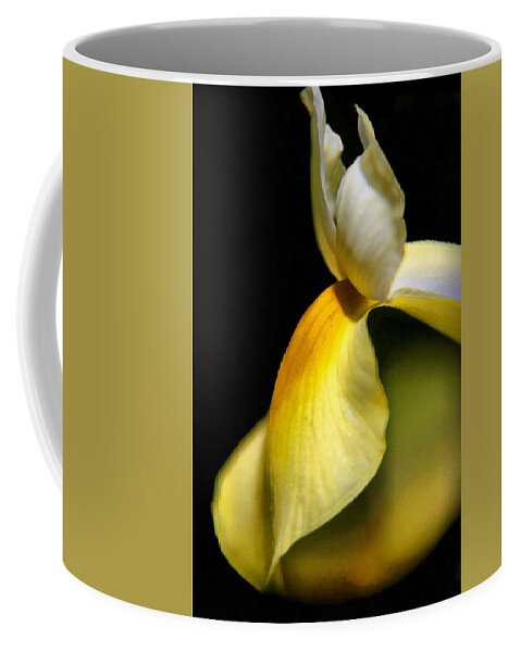 Painting Coffee Mug featuring the painting A Tender Touch by Anthony M Davis