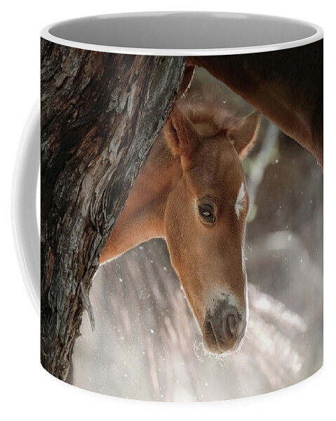 Stallion Coffee Mug featuring the photograph A Timid Peek. by Paul Martin