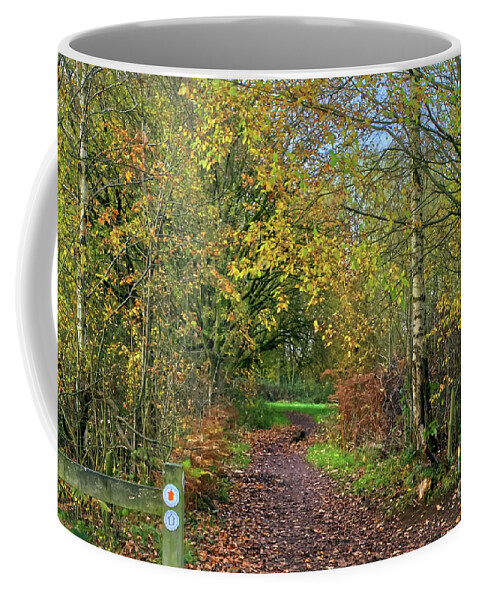 Alkington Woods Coffee Mug featuring the photograph A trail in Alkington Woods by Pics By Tony