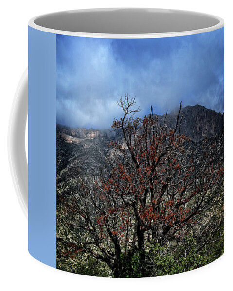 Tree Coffee Mug featuring the photograph A Tree in the Canyon by George Taylor