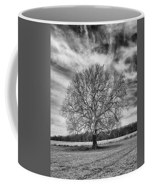  Tree Coffee Mug featuring the photograph A Tree in Winter in Black and White by William Jobes