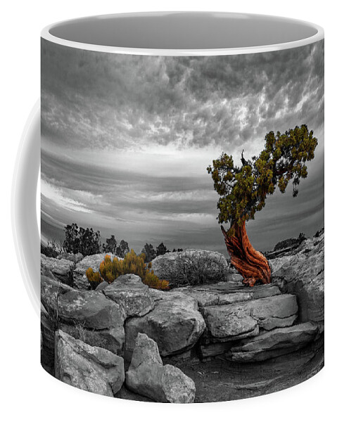 Moab Coffee Mug featuring the photograph A Tree With Character by Dan Norris