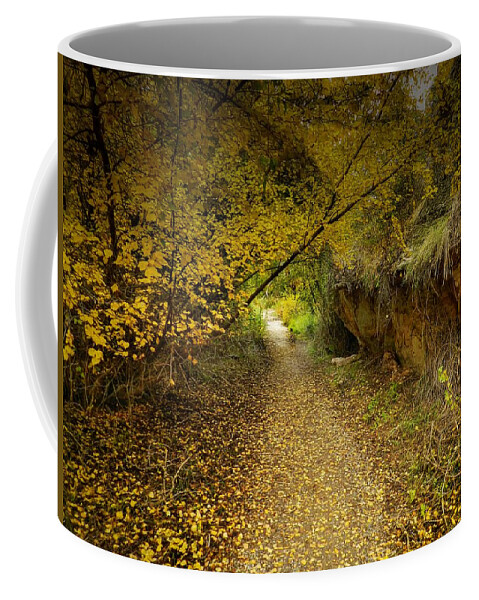 Autumnal Coffee Mug featuring the photograph A True Autumn Day by Laura Putman