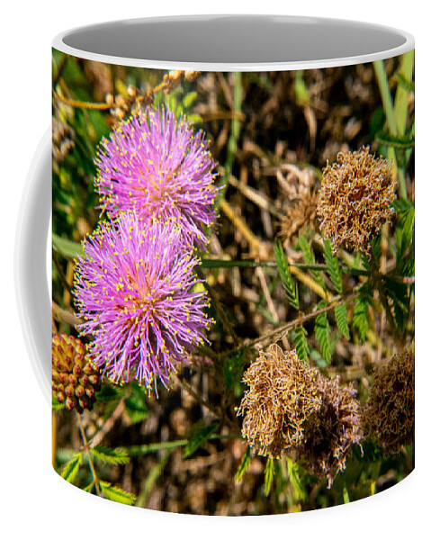 Weeds Coffee Mug featuring the photograph A Visit To That Little Place by Ivars Vilums