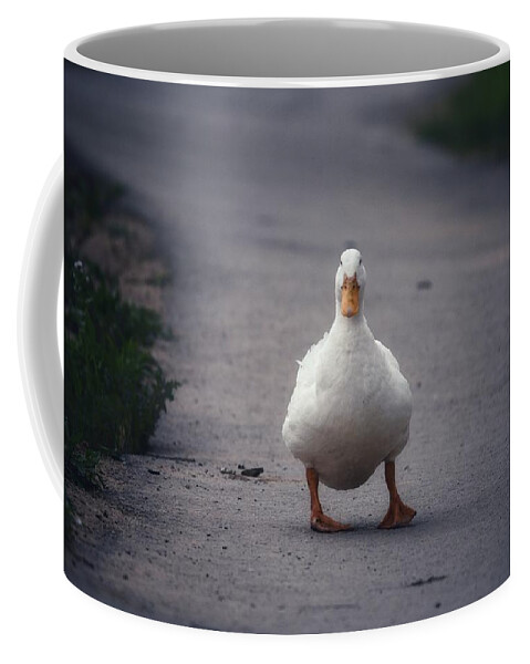 Photo Coffee Mug featuring the photograph A walk in the Park by Evan Foster