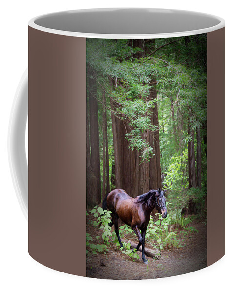 Horse In The Redwoods Coffee Mug featuring the photograph A Walk in the Park by Pamela Steege