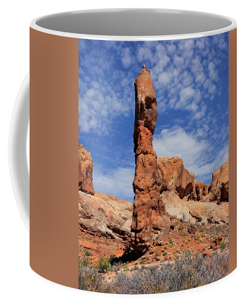 Desert Coffee Mug featuring the photograph A Walk Through Arches National Park 8 by Mike McGlothlen