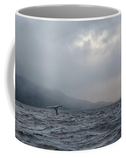 Ocean Coffee Mug featuring the photograph A whale tale by Debra Baldwin