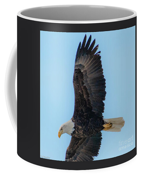 Eagle Coffee Mug featuring the photograph A Wing of Life and Strength by David Taylor