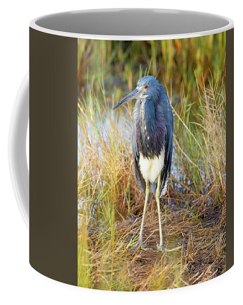 R5-2607 Coffee Mug featuring the photograph A young blue heron by Gordon Elwell
