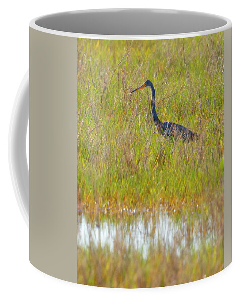 R5-2669 Coffee Mug featuring the photograph A Youngster out in the Grasslands by Gordon Elwell