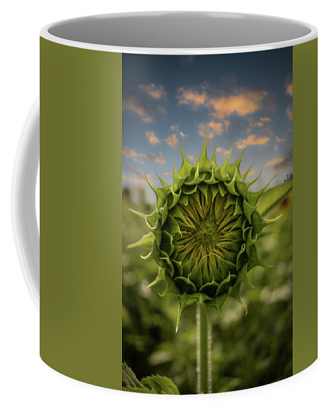 Sunflower Coffee Mug featuring the photograph About To Pop Out by Rick Nelson