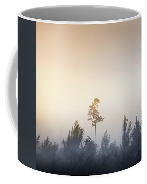 Tree Coffee Mug featuring the photograph Above The Rest by Jordan Hill