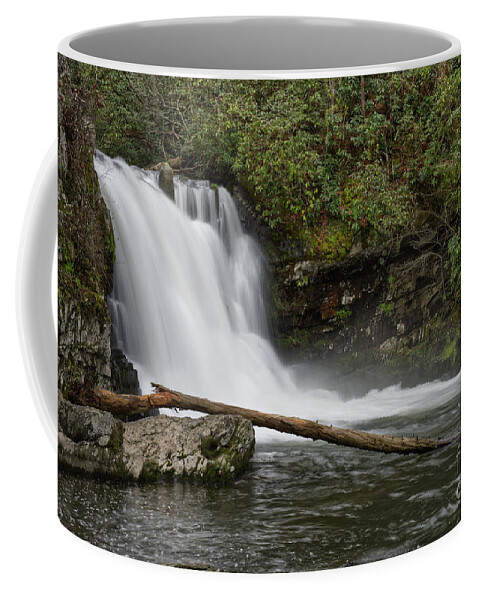 Abrams Falls Coffee Mug featuring the photograph Abrams Falls 13 by Phil Perkins