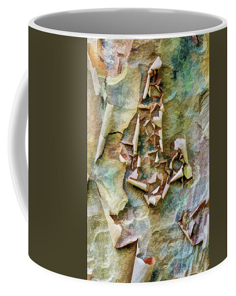 Paperbark Maple Coffee Mug featuring the photograph Abstract Art In The Tree Trunk by Gary Slawsky