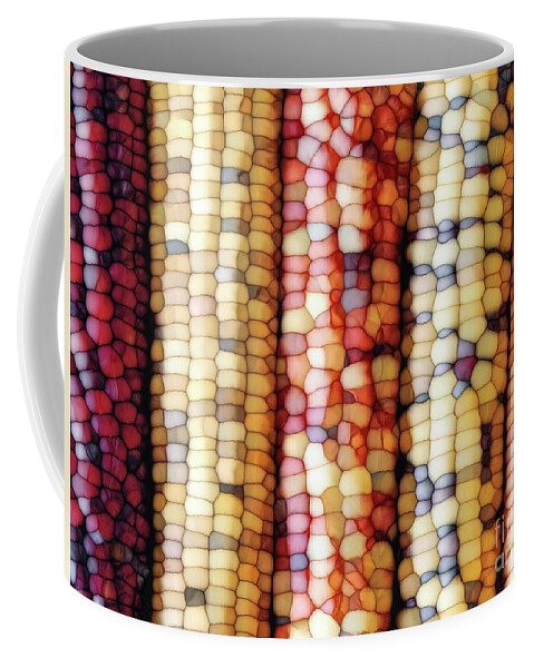 Indian Corn Coffee Mug featuring the digital art Abstract Indian Corn by Phil Perkins