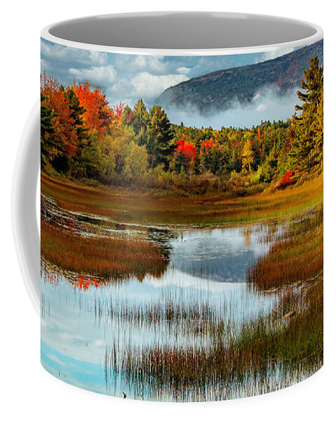  Coffee Mug featuring the photograph Acadia Meadow by Gary Johnson