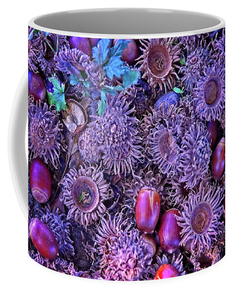 Abstract Coffee Mug featuring the digital art Acorns, Pods, And Seeds by David Desautel