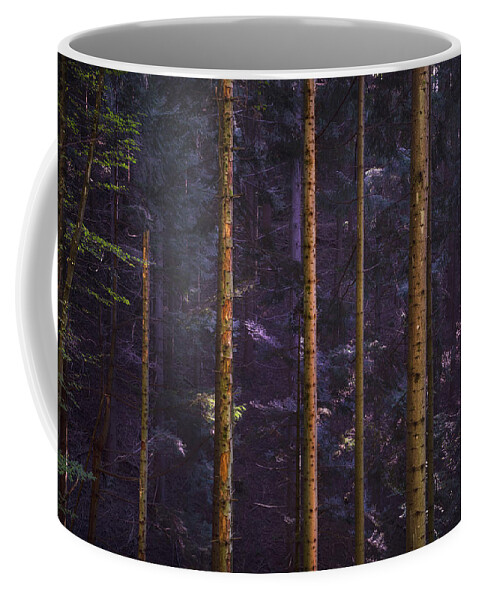Forest Coffee Mug featuring the photograph Acquerino nature reserve forest. Tree trunks vertical pattern. by Stefano Orazzini