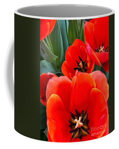 Color Coffee Mug featuring the photograph Ad Rem Tulips by Jeanette French