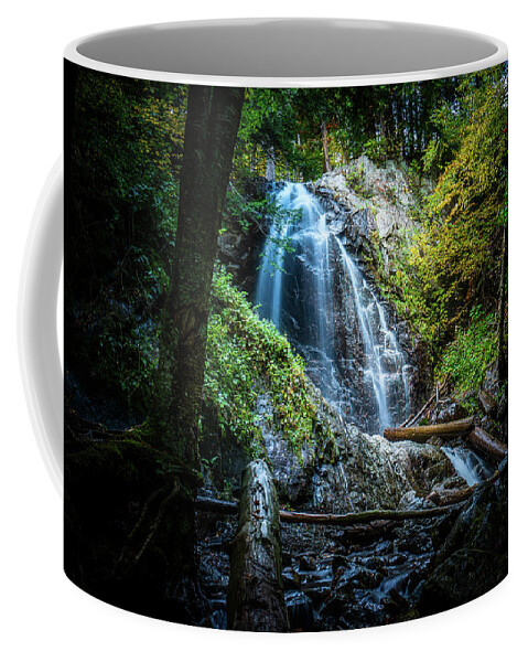 Fall Coffee Mug featuring the photograph Adirondacks Autumn at Stag Brook Falls 2 by Ron Long Ltd Photography