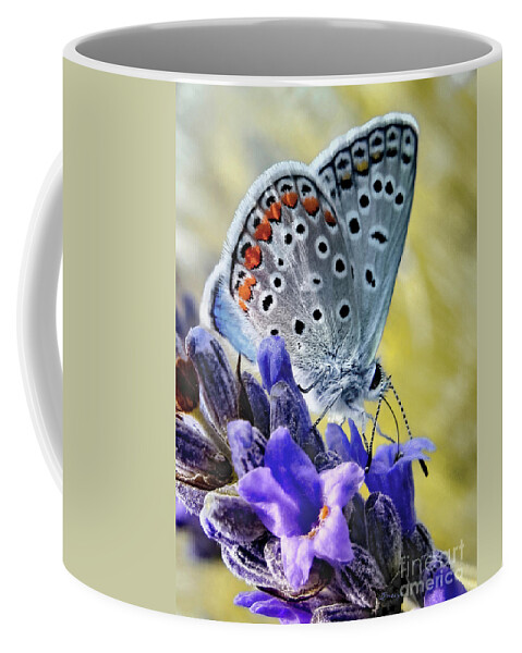Adonis Blue Coffee Mug featuring the photograph Adonis Blue Butterfly by Jennie Breeze