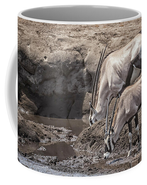 Oryx Coffee Mug featuring the photograph Adult and Juvenile Oryx by Belinda Greb