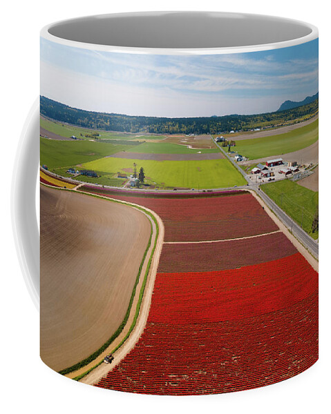 Skagit Valley Tulips Coffee Mug featuring the photograph Aerial Tulips5 by Michael Rauwolf