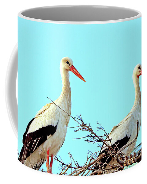  Coffee Mug featuring the photograph Saudi Arabia 8 by Eric Pengelly
