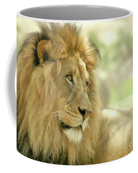 Africa Coffee Mug featuring the photograph African male lion sits in the shade with the rest of his pride. by Gunther Allen